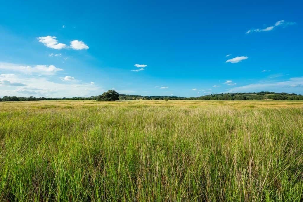 90 acres in Kendall County - photo 20
