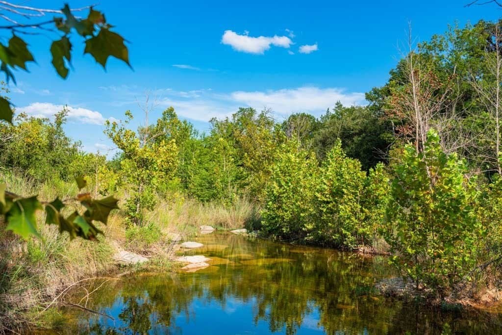 90 acres in Kendall County - photo 12