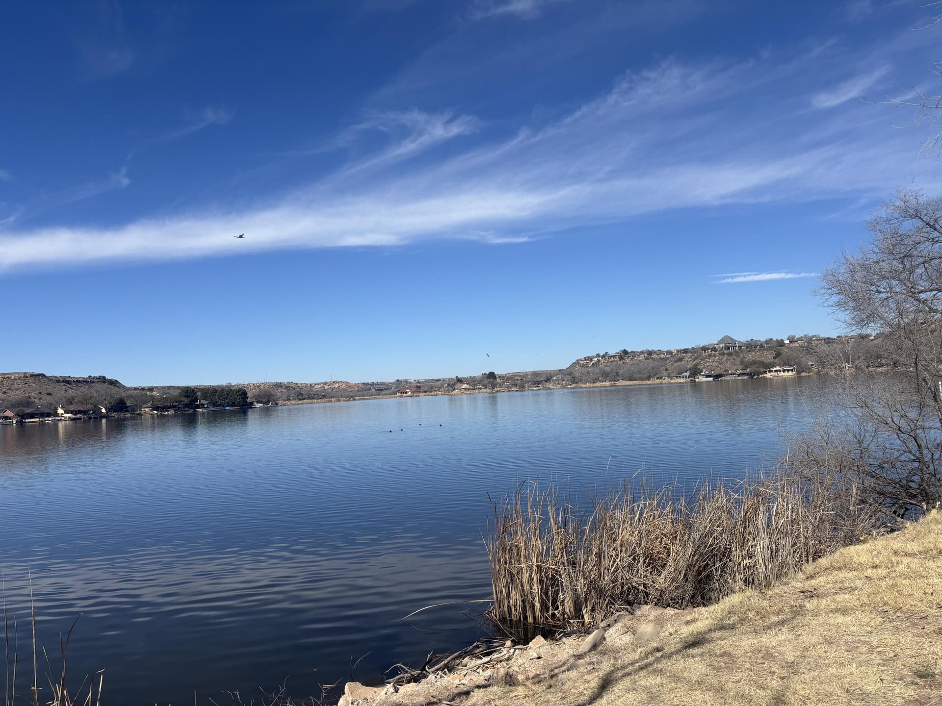 0.53 acres in Lubbock County