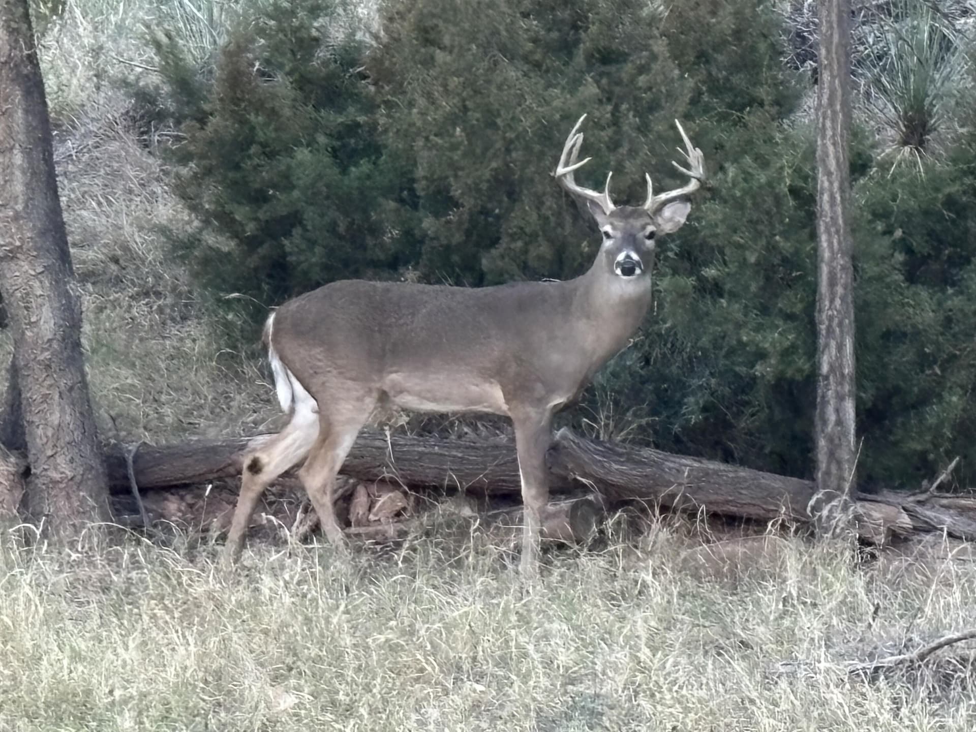 0.53 acres in Lubbock County - photo 9
