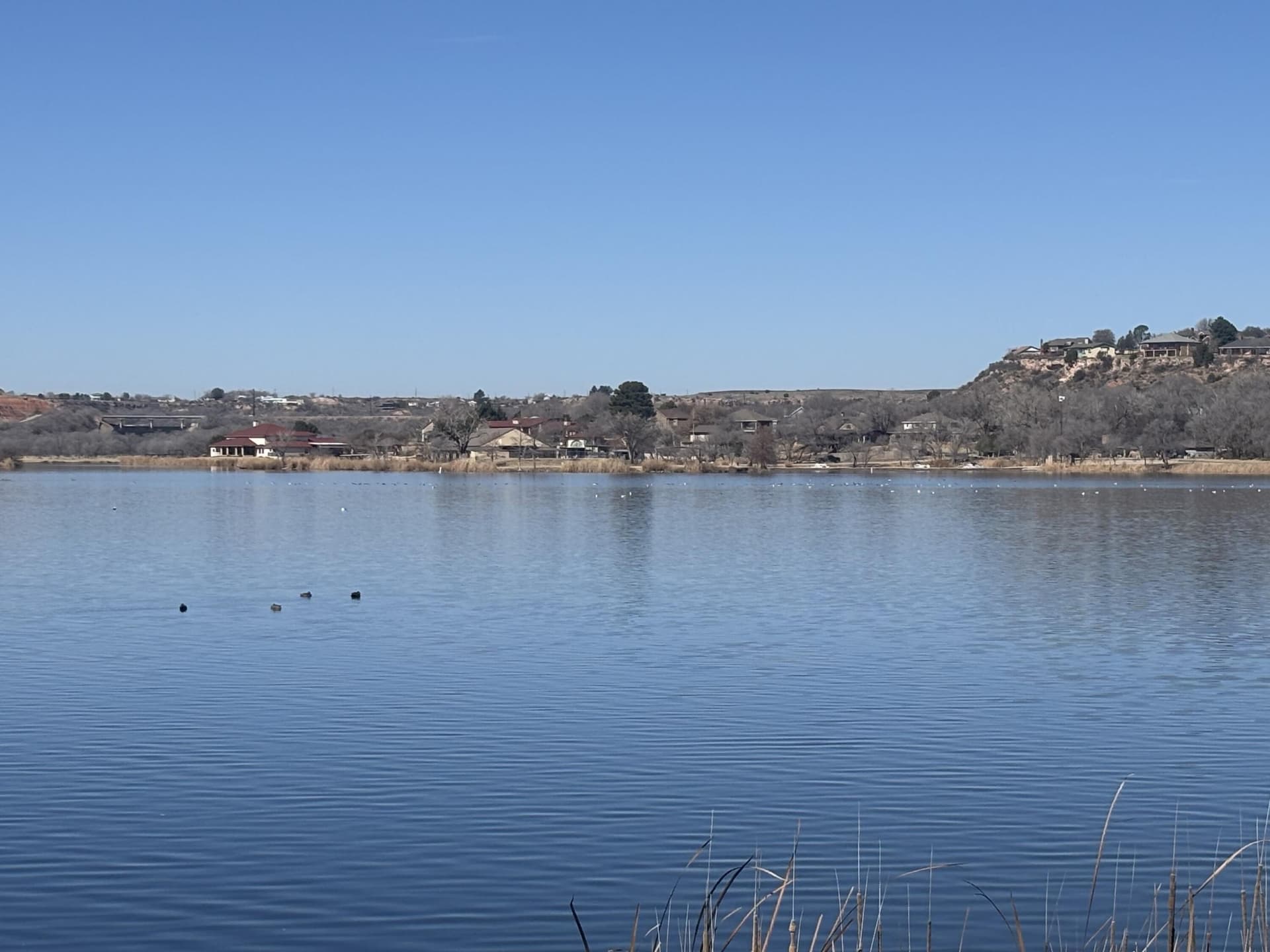 0.53 acres in Lubbock County - photo 8
