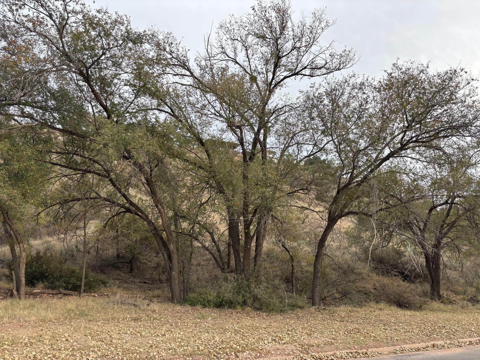 0.53 acres in Lubbock County gallery image 3