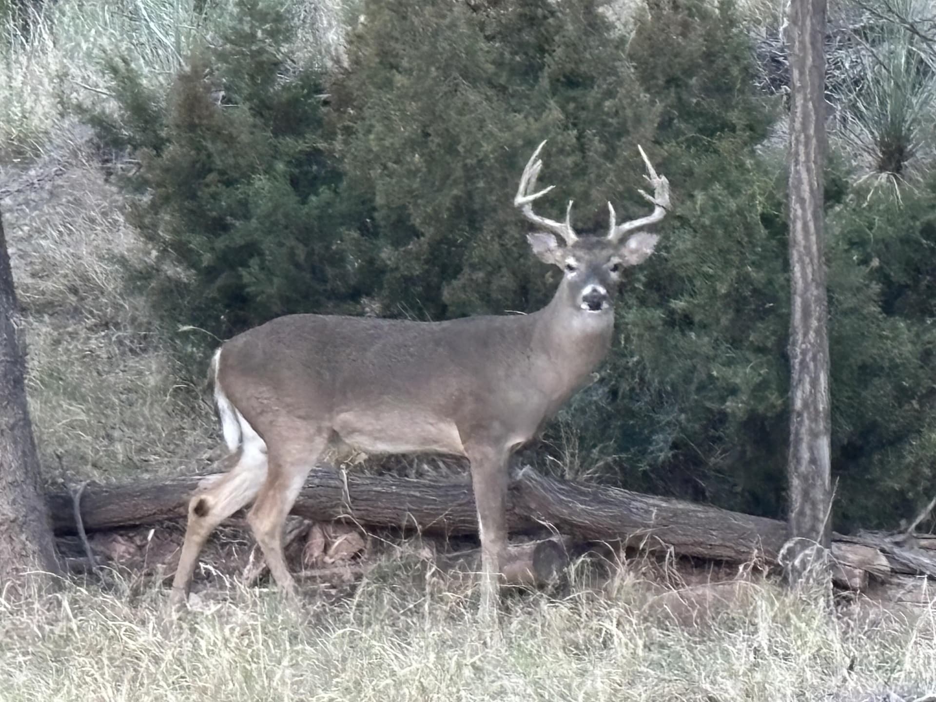 0.53 acres in Lubbock County gallery image 4