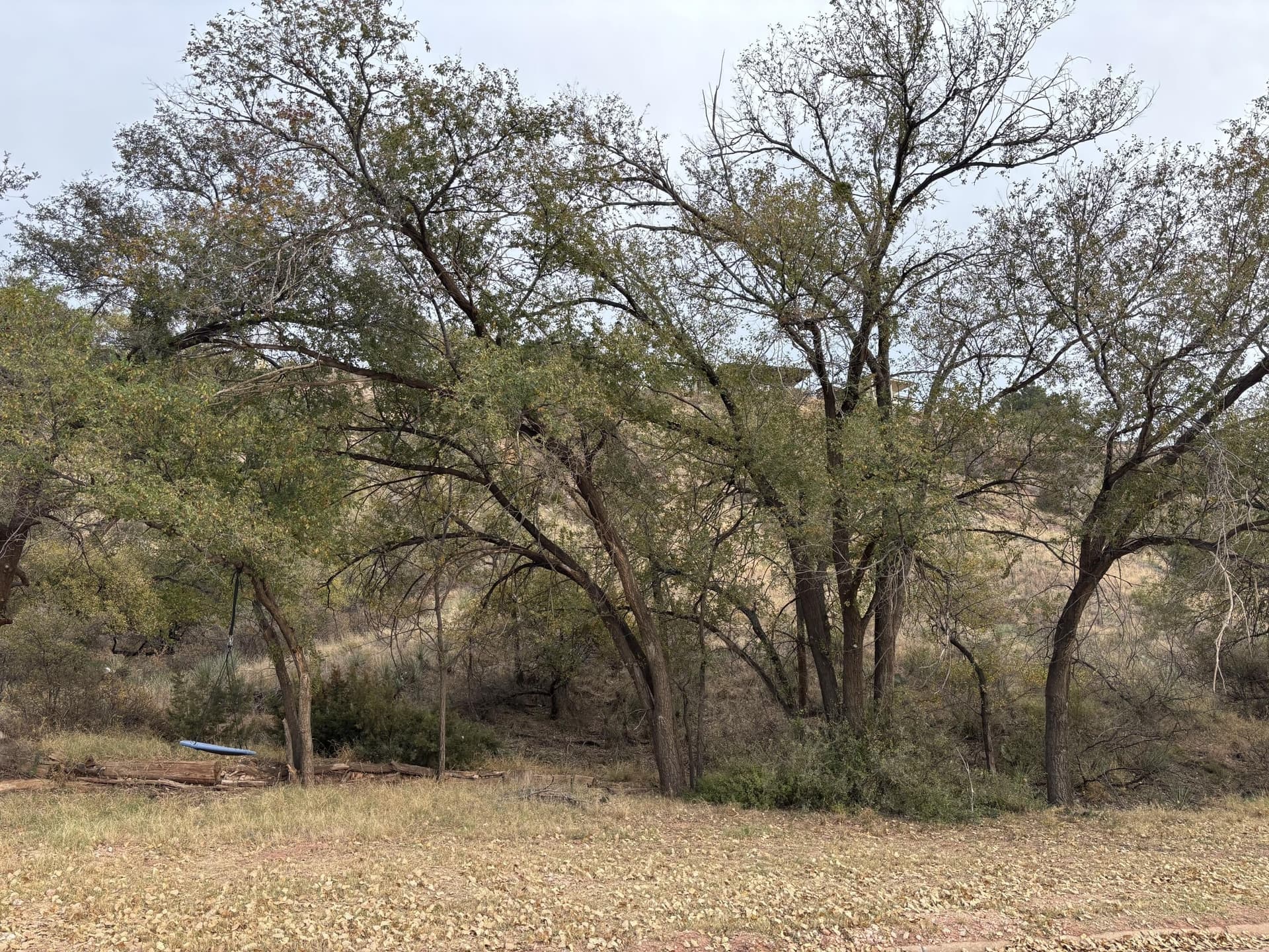 0.53 acres in Lubbock County featured view