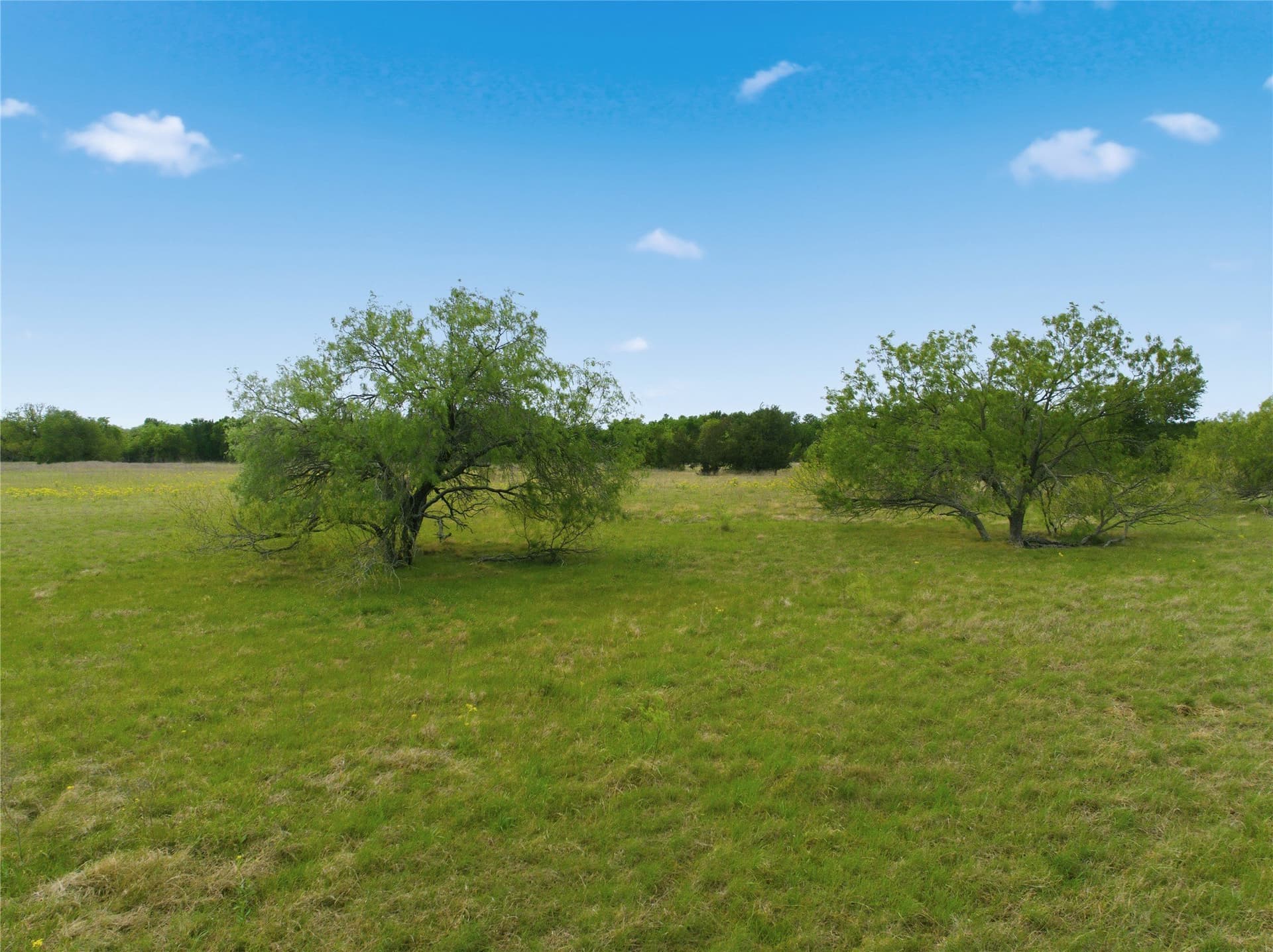 10.27 acres in Robertson County - photo 8