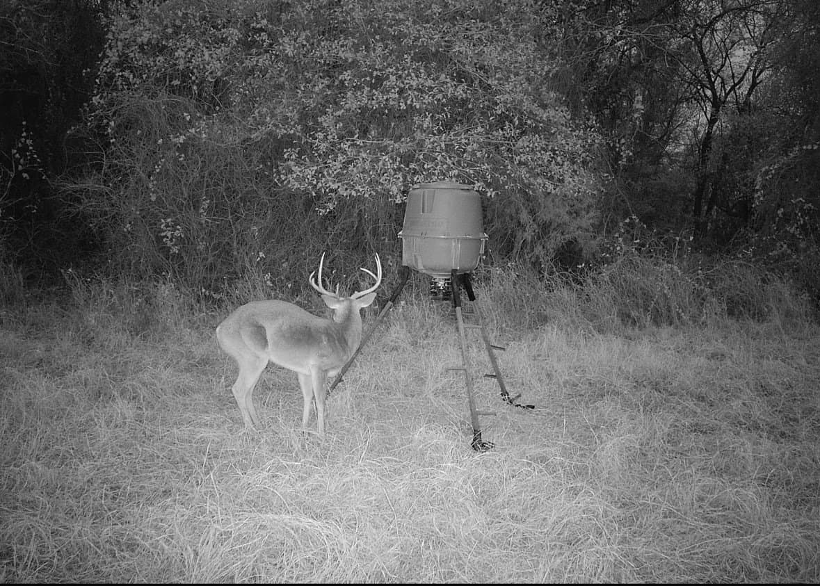 10.27 acres in Robertson County - photo 22