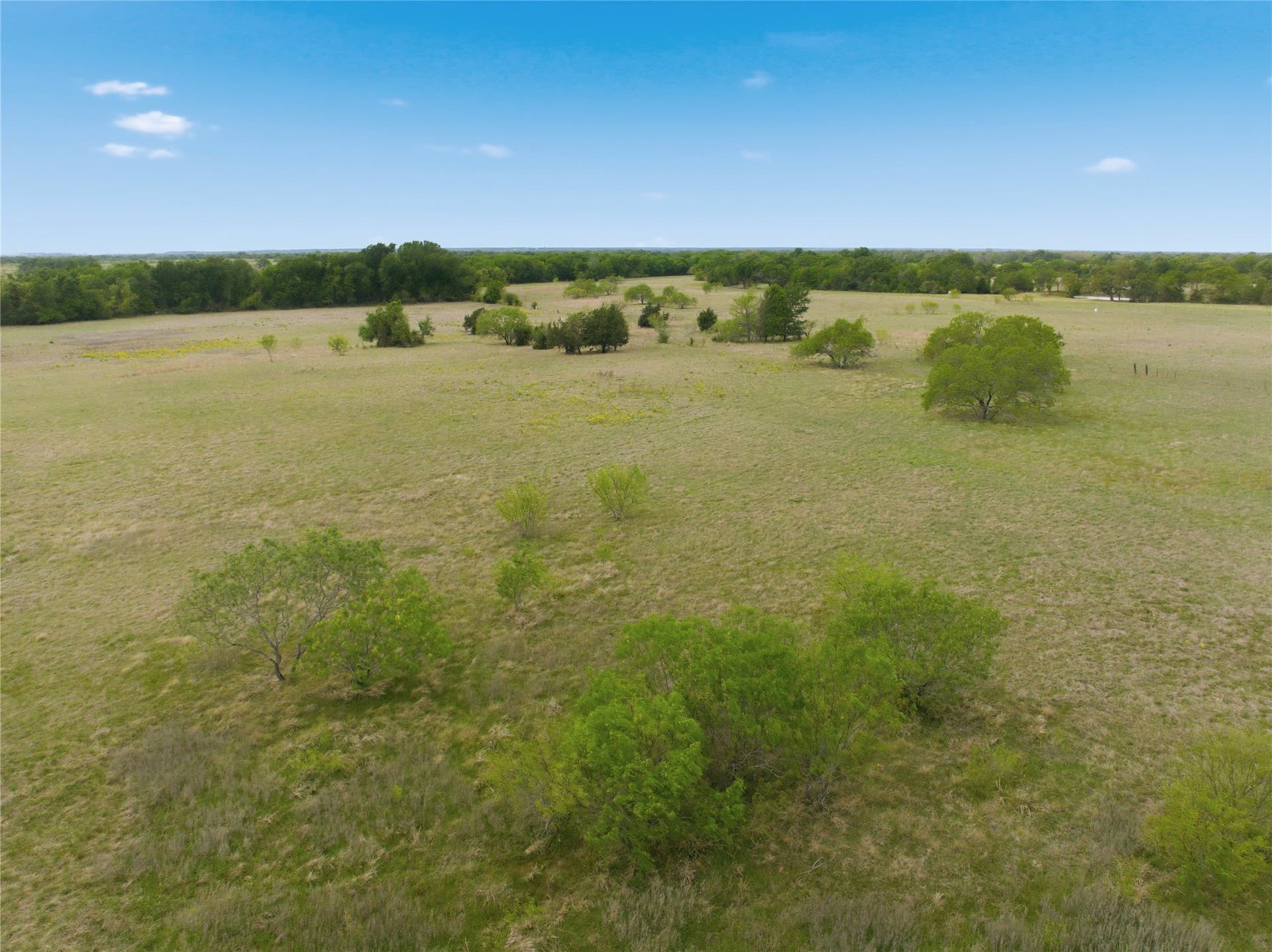 10.27 acres in Robertson County - photo 10