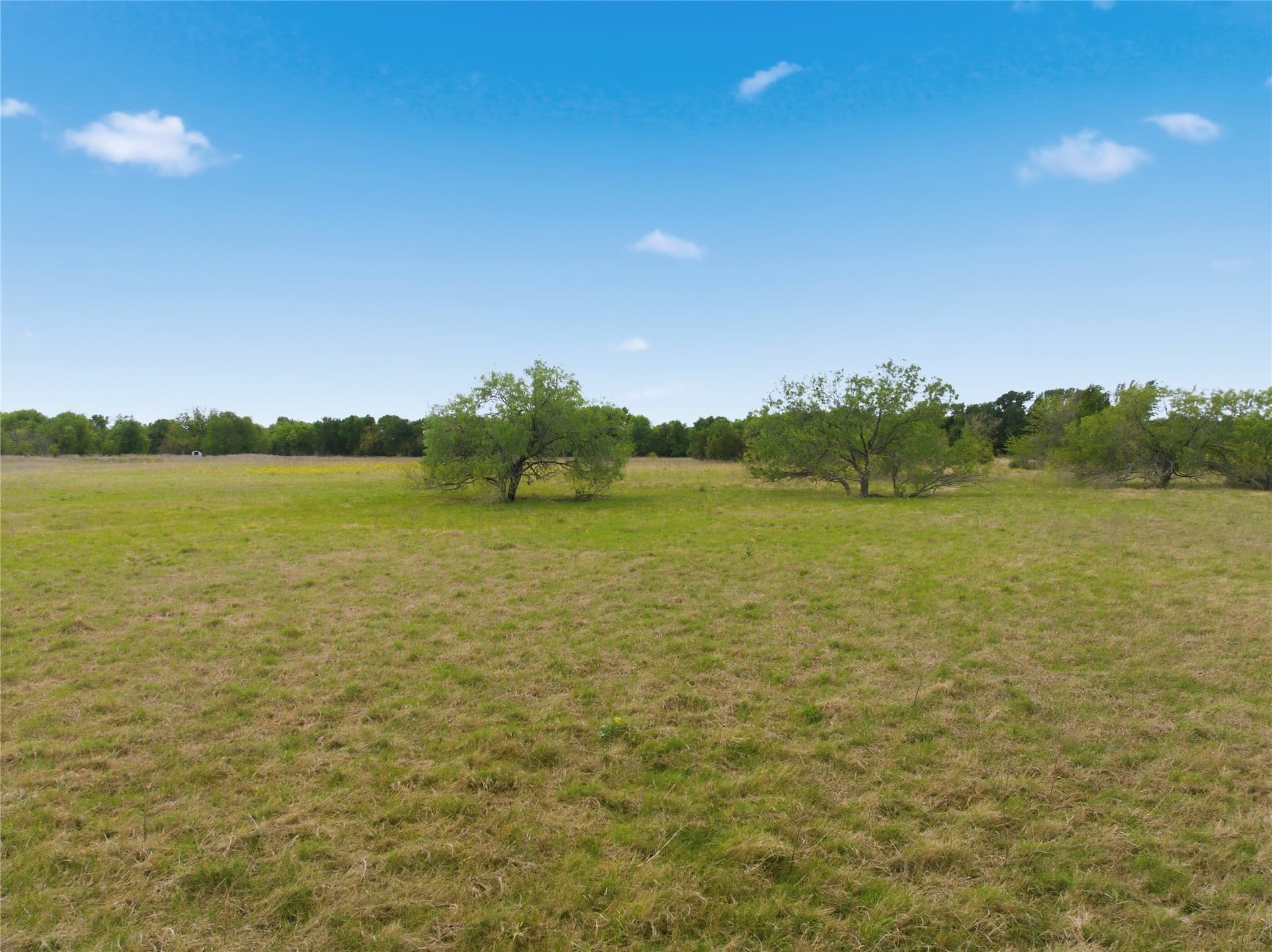 10.27 acres in Robertson County - photo 7