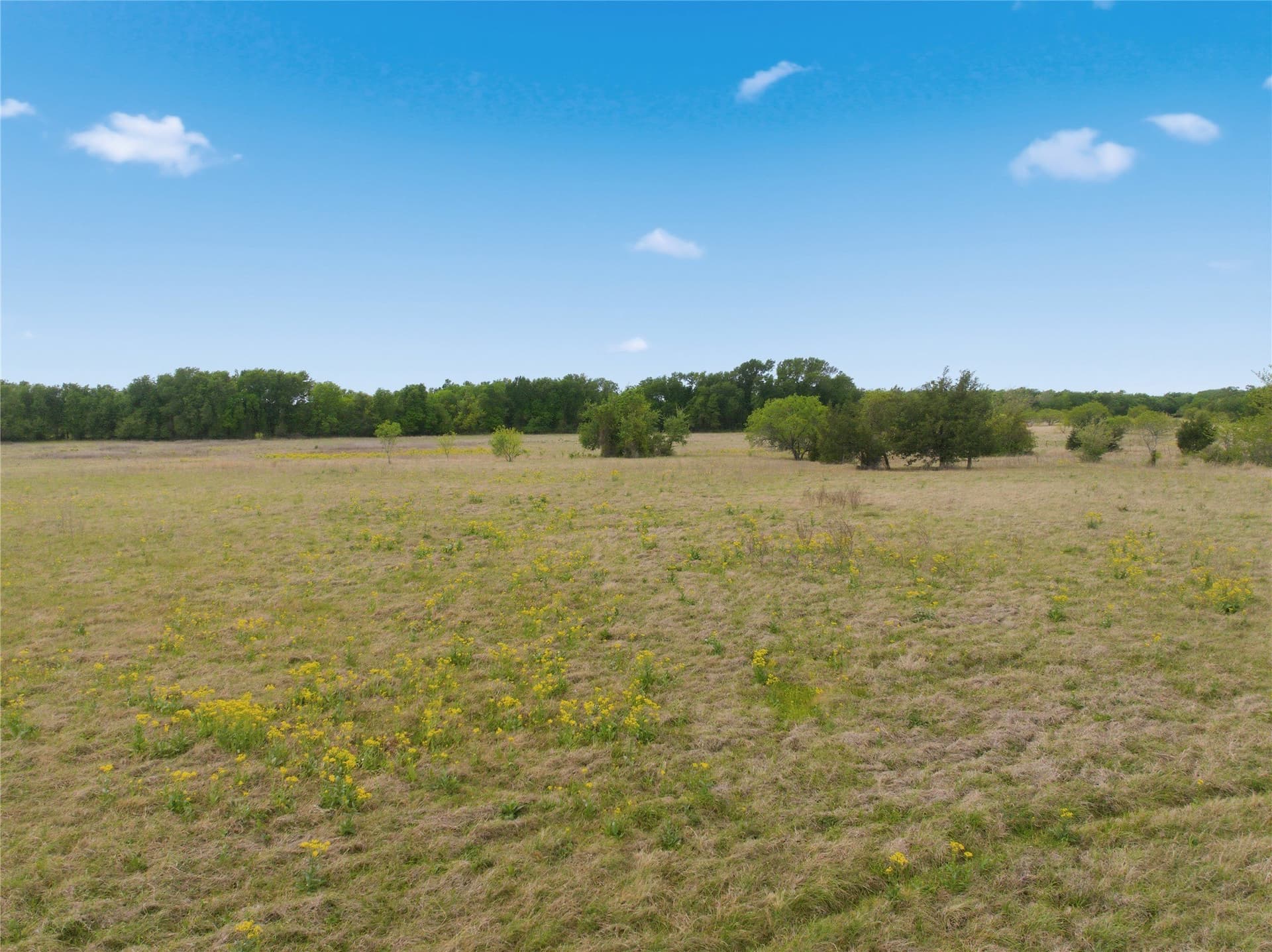 10.27 acres in Robertson County - photo 9