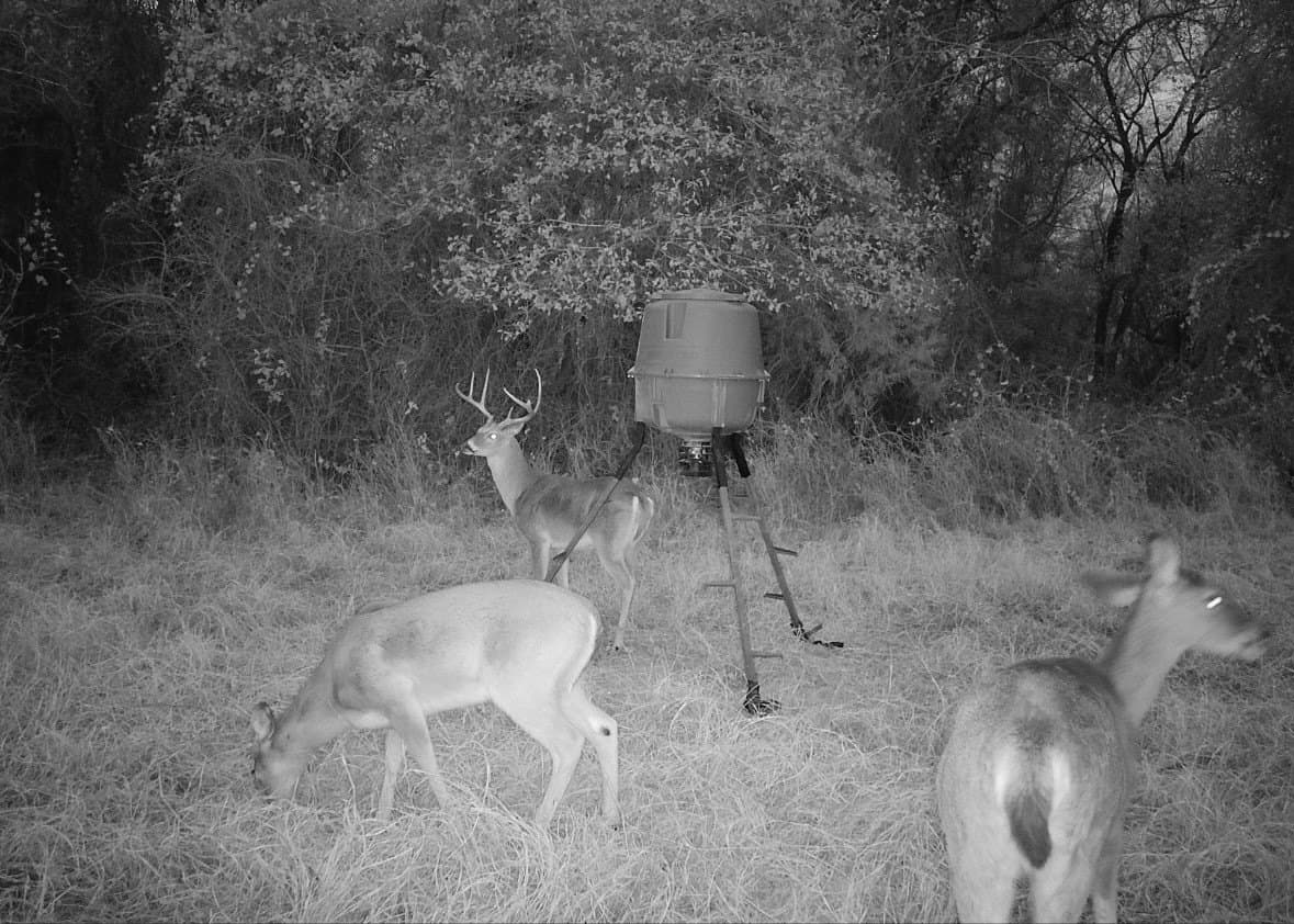 10.27 acres in Robertson County - photo 21