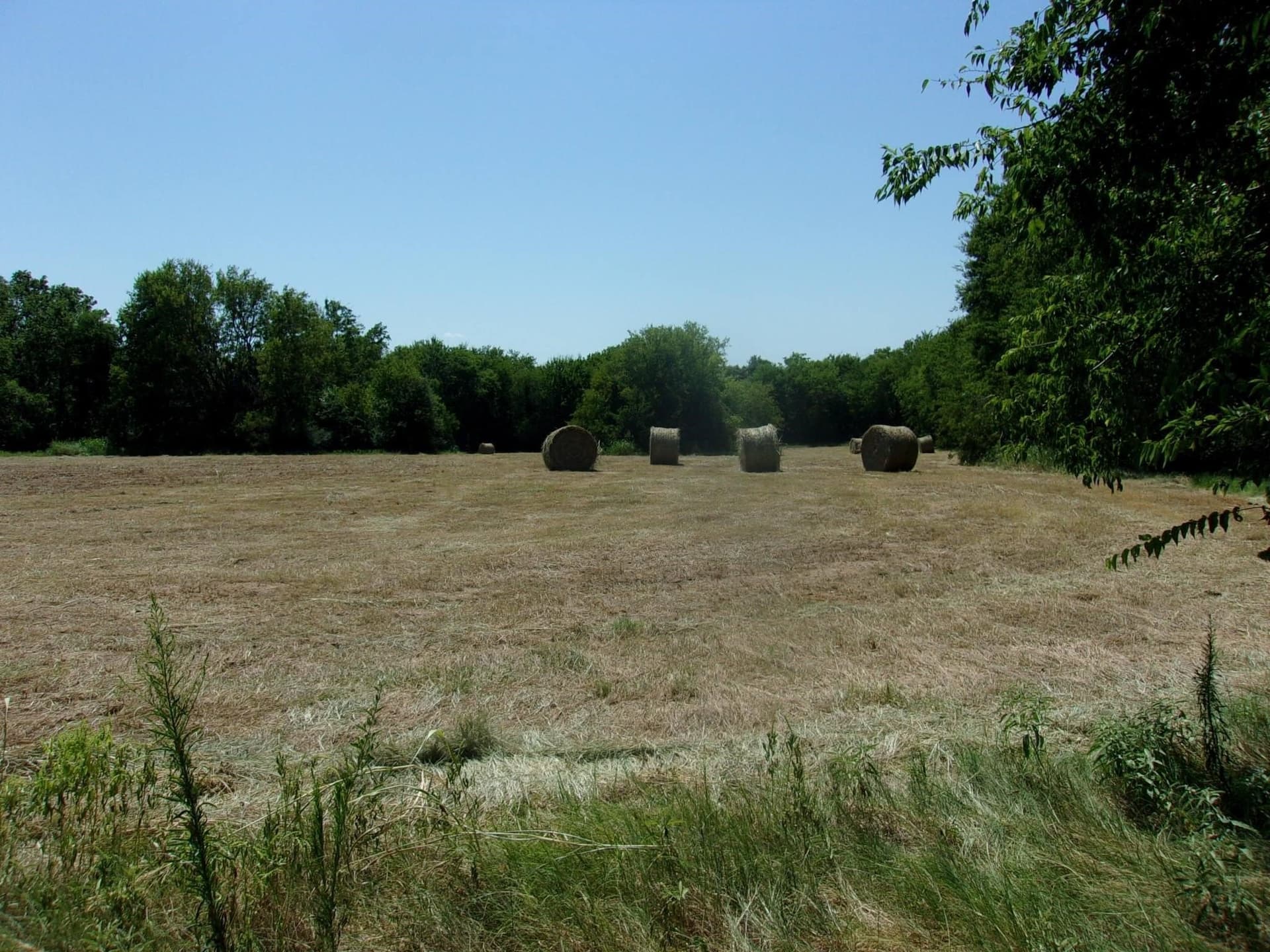 29.1 acres in Hopkins County gallery image 4