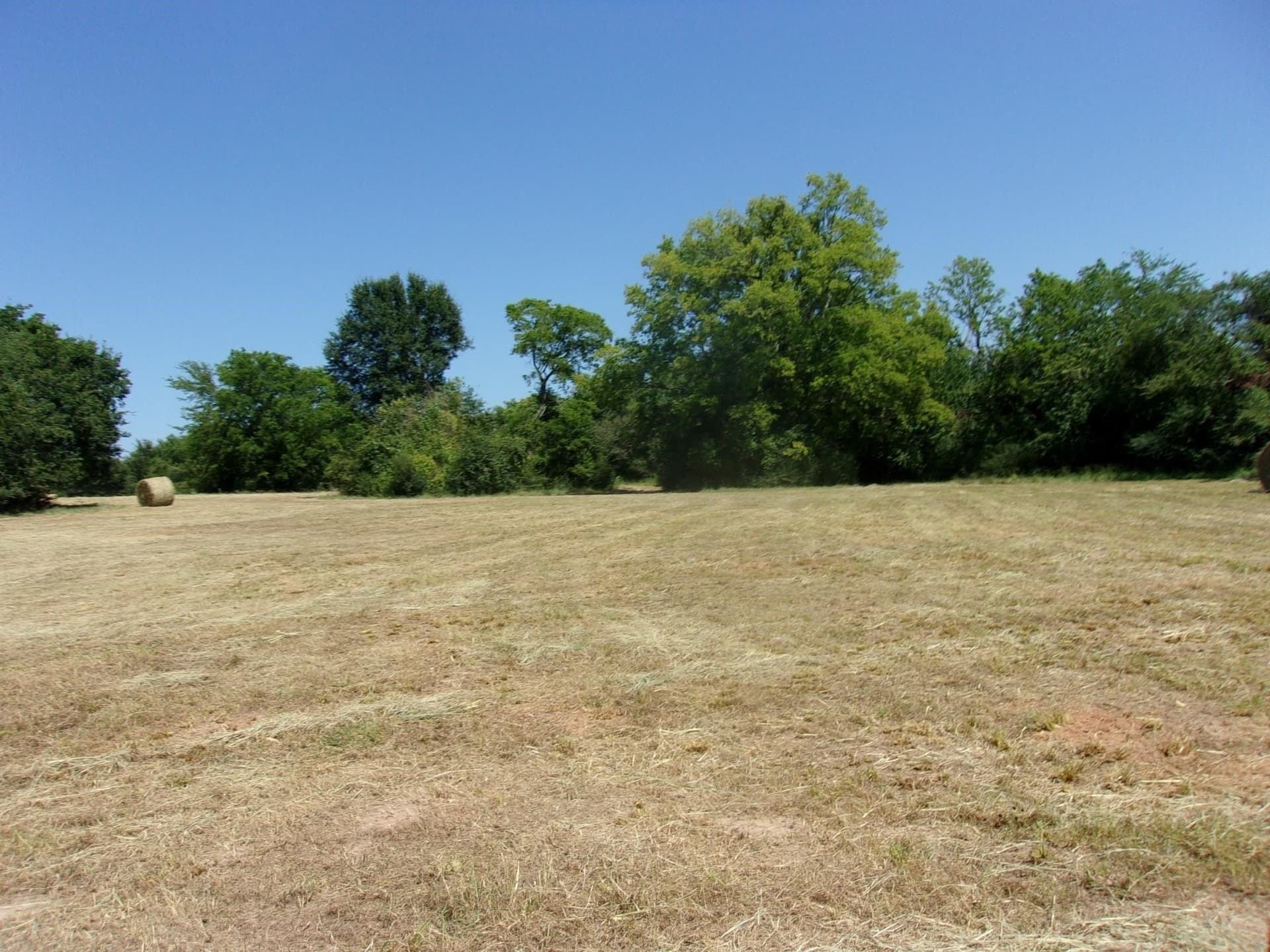 29.1 acres in Hopkins County featured view