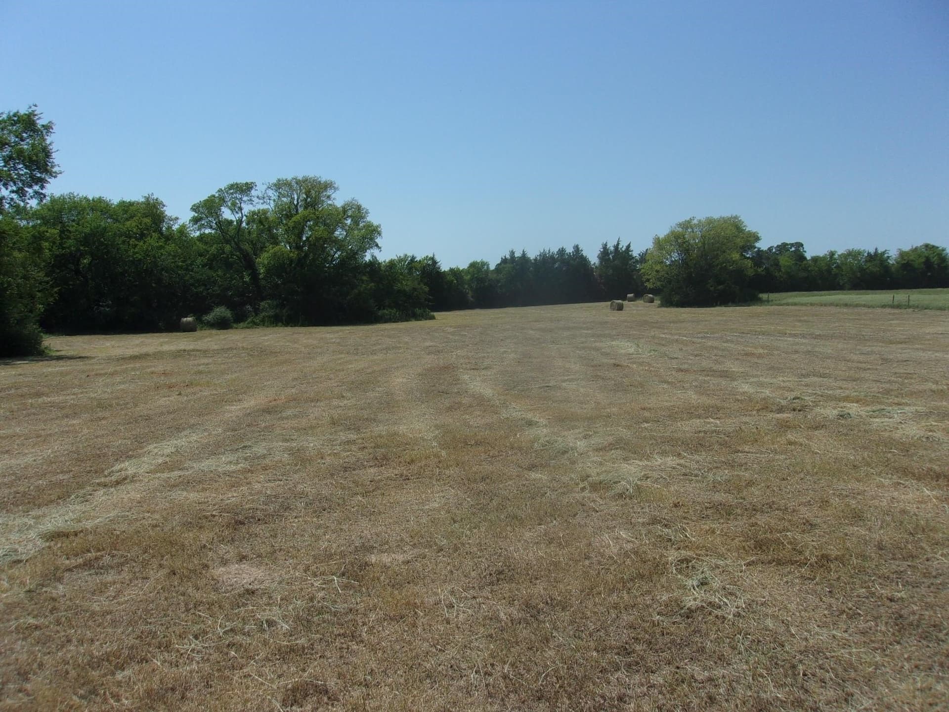 29.1 acres in Hopkins County - photo 7