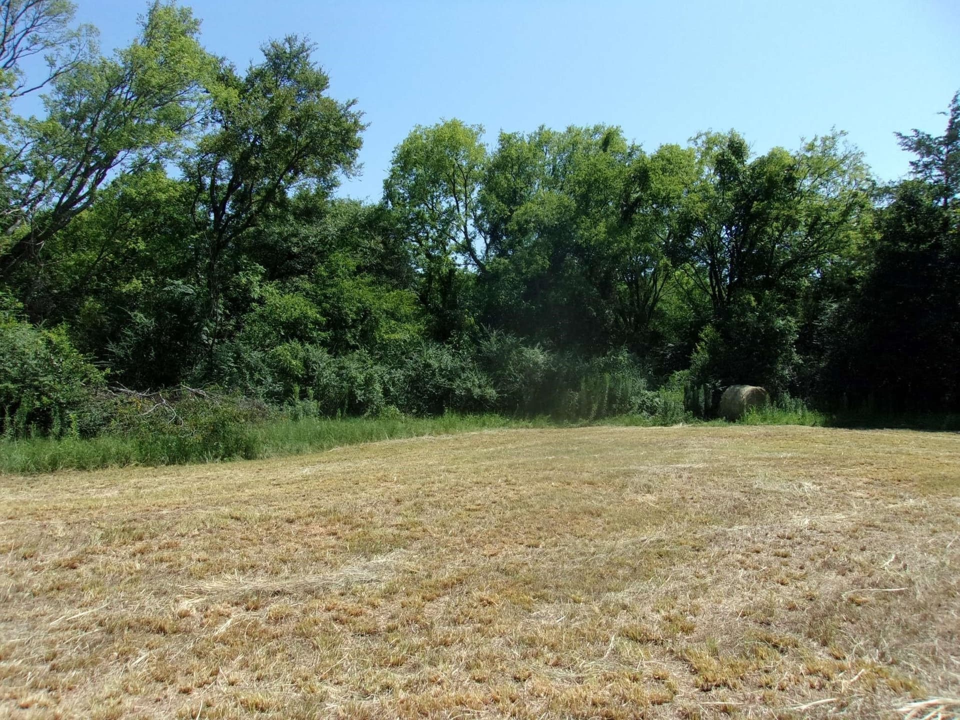 29.1 acres in Hopkins County - photo 10