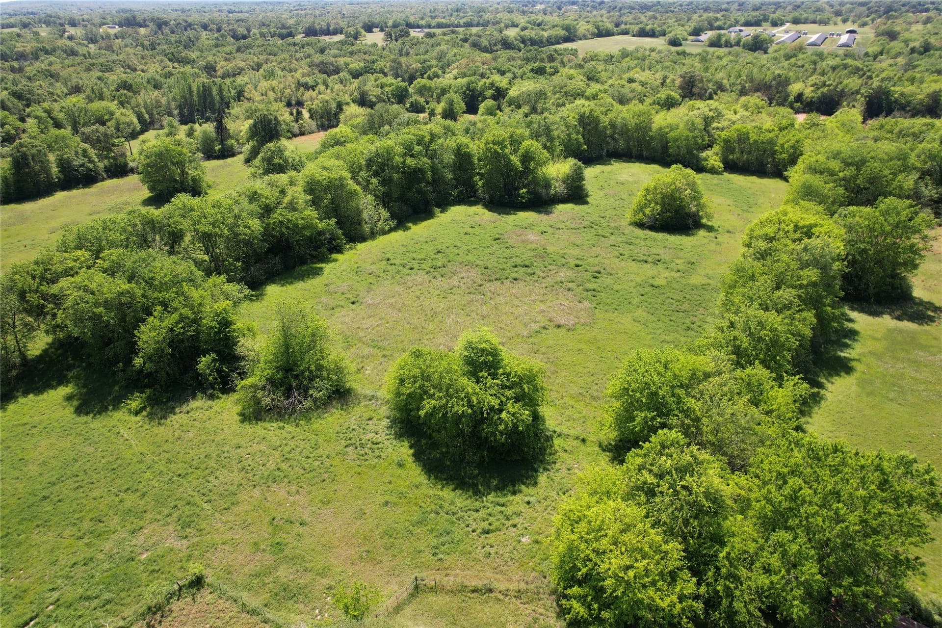 29.1 acres in Hopkins County - photo 22