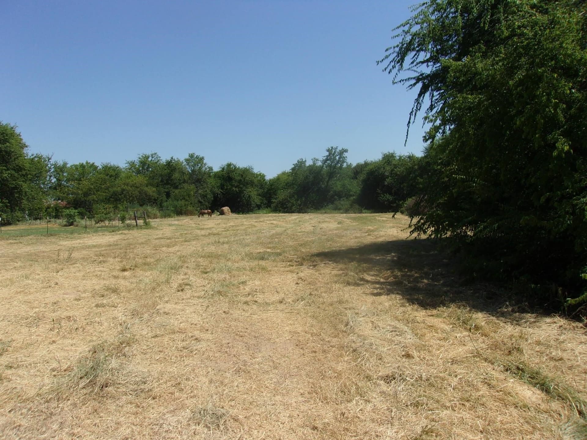 29.1 acres in Hopkins County - photo 6