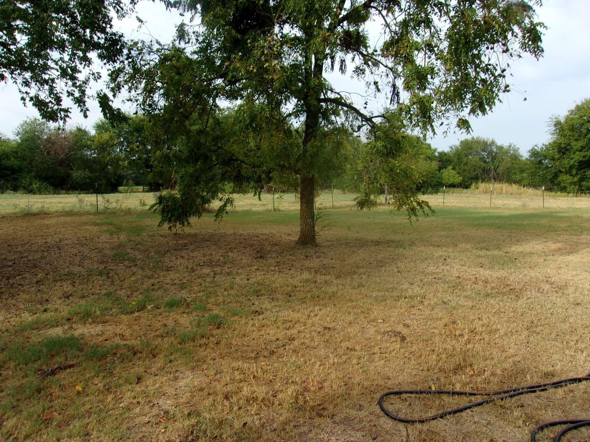 29.1 acres in Hopkins County - photo 12