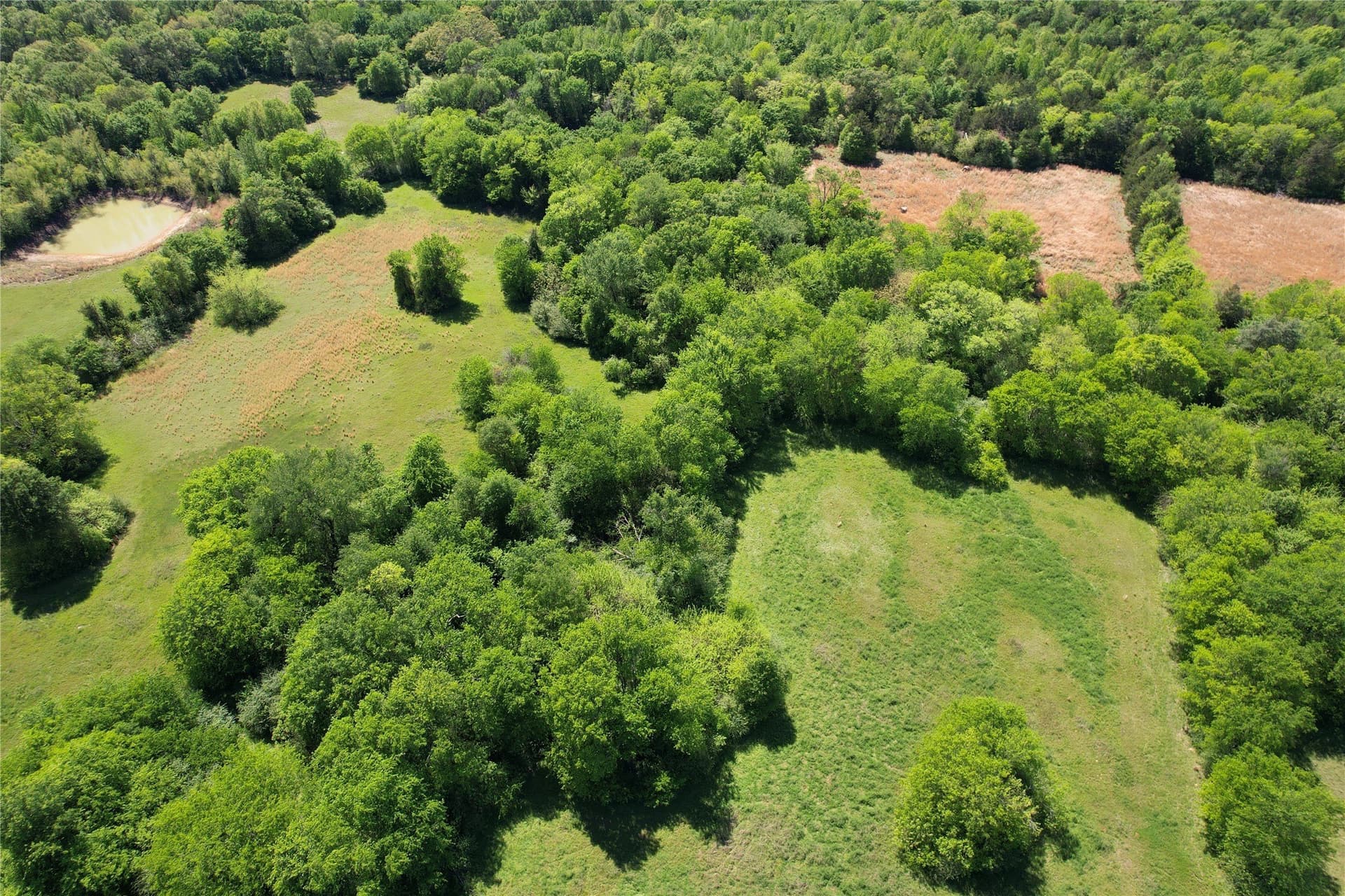 29.1 acres in Hopkins County - photo 21