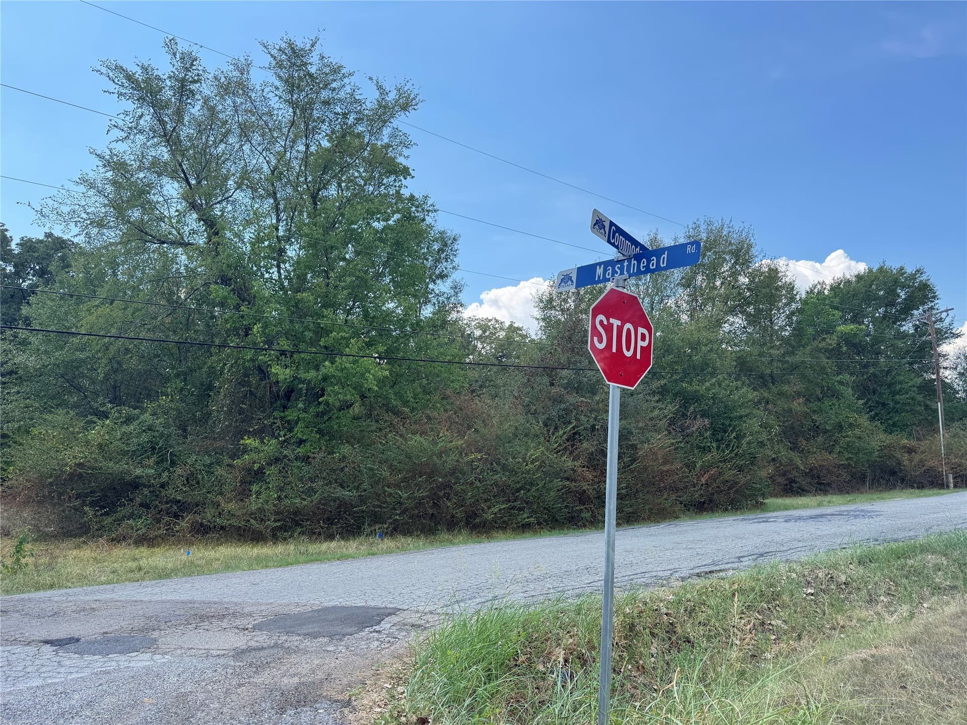 0.16 acres in Henderson County - photo 4