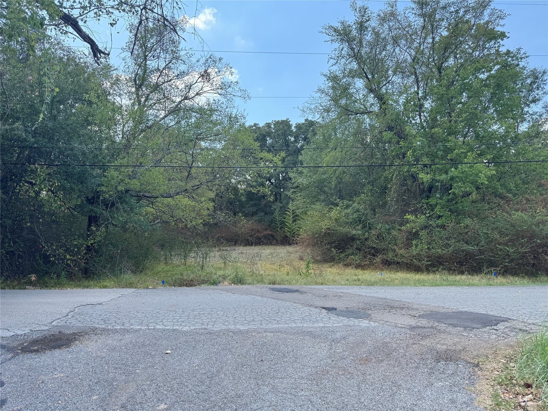 0.16 acres in Henderson County - photo 2
