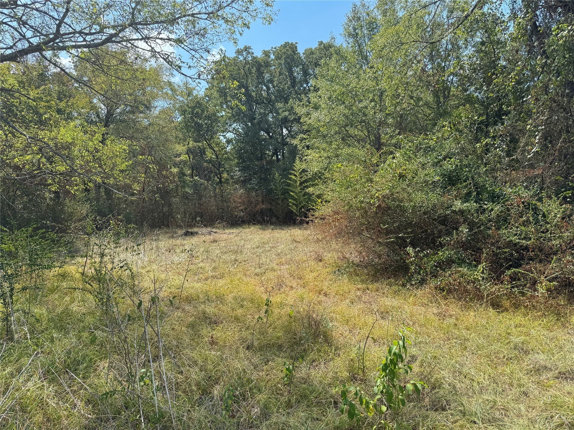 0.16 acres in Henderson County - photo 5