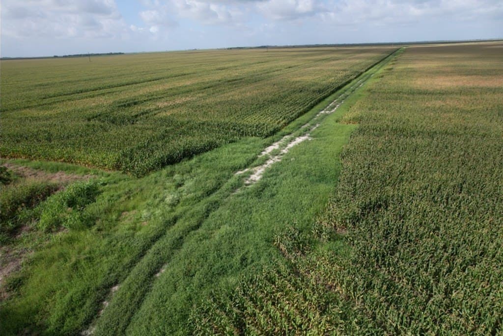 638.4 acres in Jackson County - photo 6