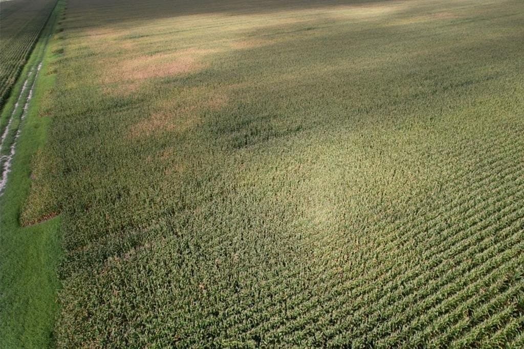 638.4 acres in Jackson County - photo 8