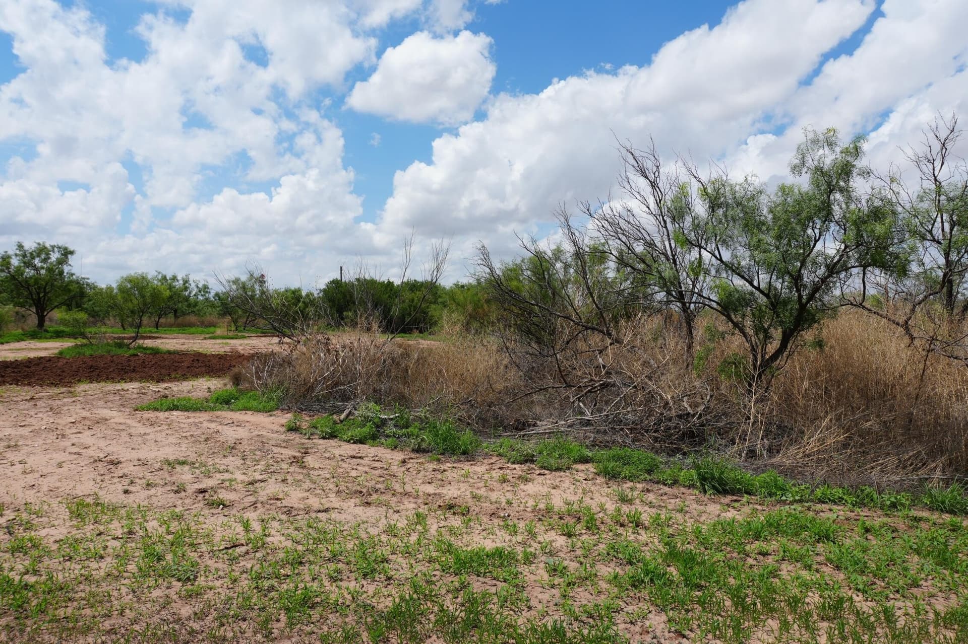24.14 acres in Garza County featured view