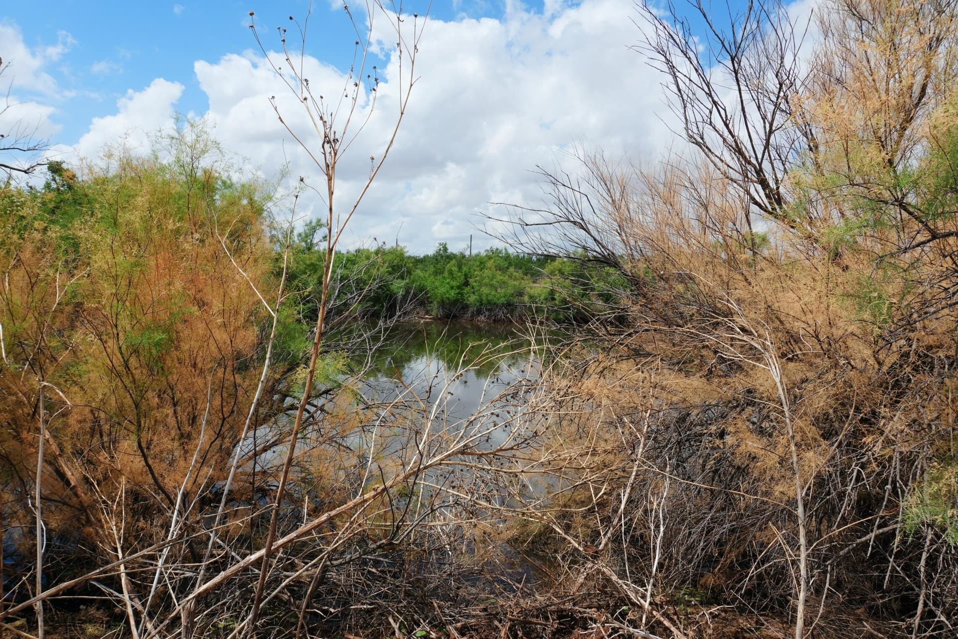 24.14 acres in Garza County