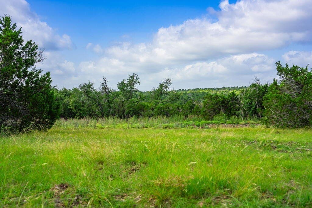 33.1 acres in Gillespie County - photo 10