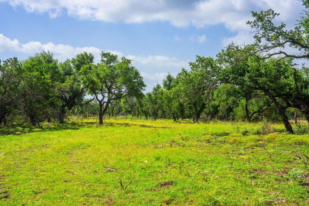 33.1 acres in Gillespie County - photo 14