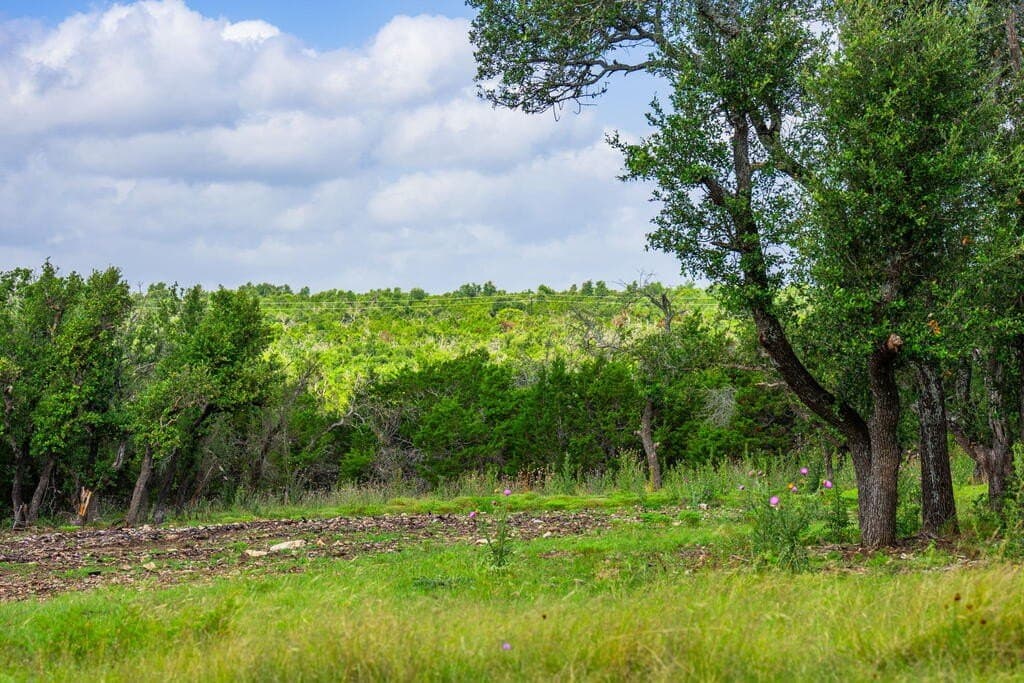 33.1 acres in Gillespie County - photo 15
