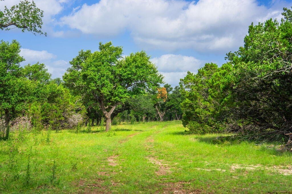 33.1 acres in Gillespie County - photo 13