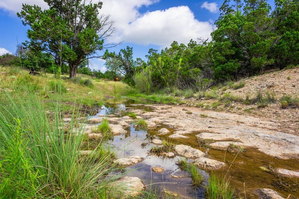 33.1 acres in Gillespie County - photo 3