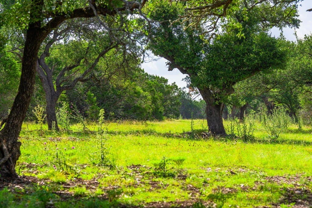 33.1 acres in Gillespie County - photo 12