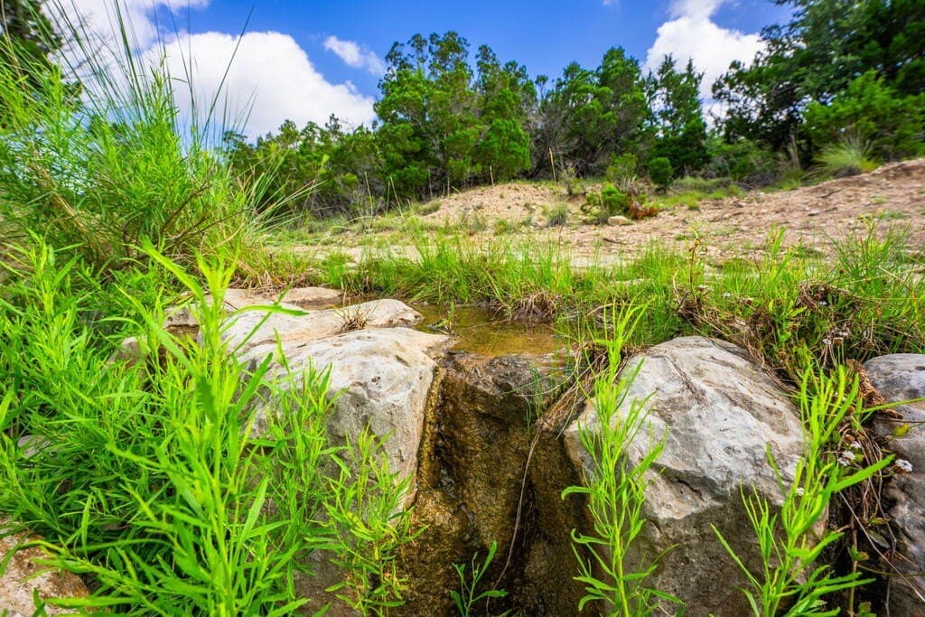 33.1 acres in Gillespie County - photo 2