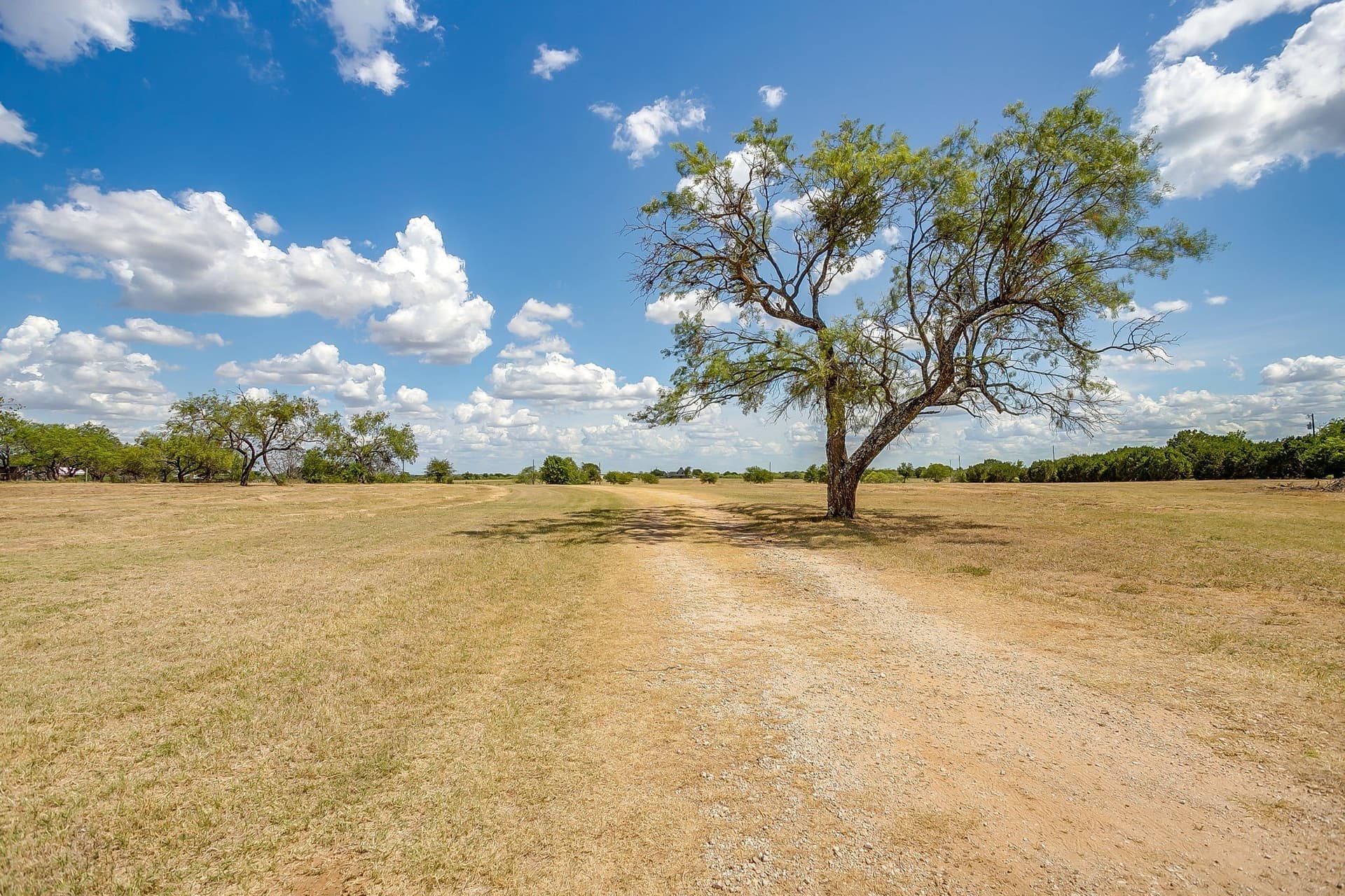 14.32 acres in Hill County - photo 6