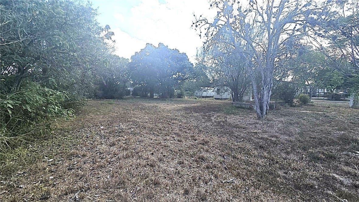 0.29 acres in Kleberg County - photo 5