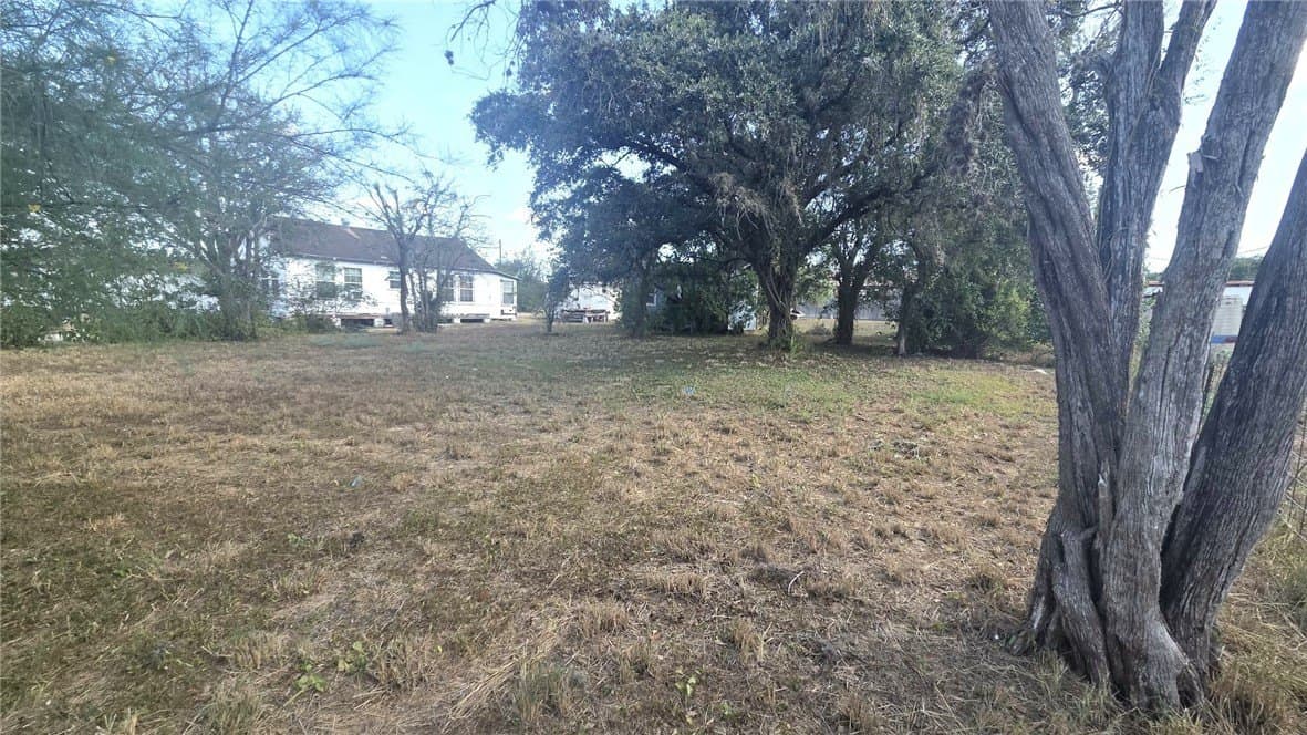 0.29 acres in Kleberg County - photo 2