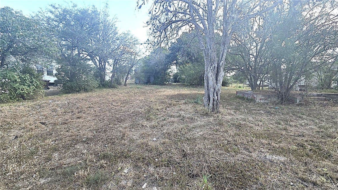 0.29 acres in Kleberg County - photo 4