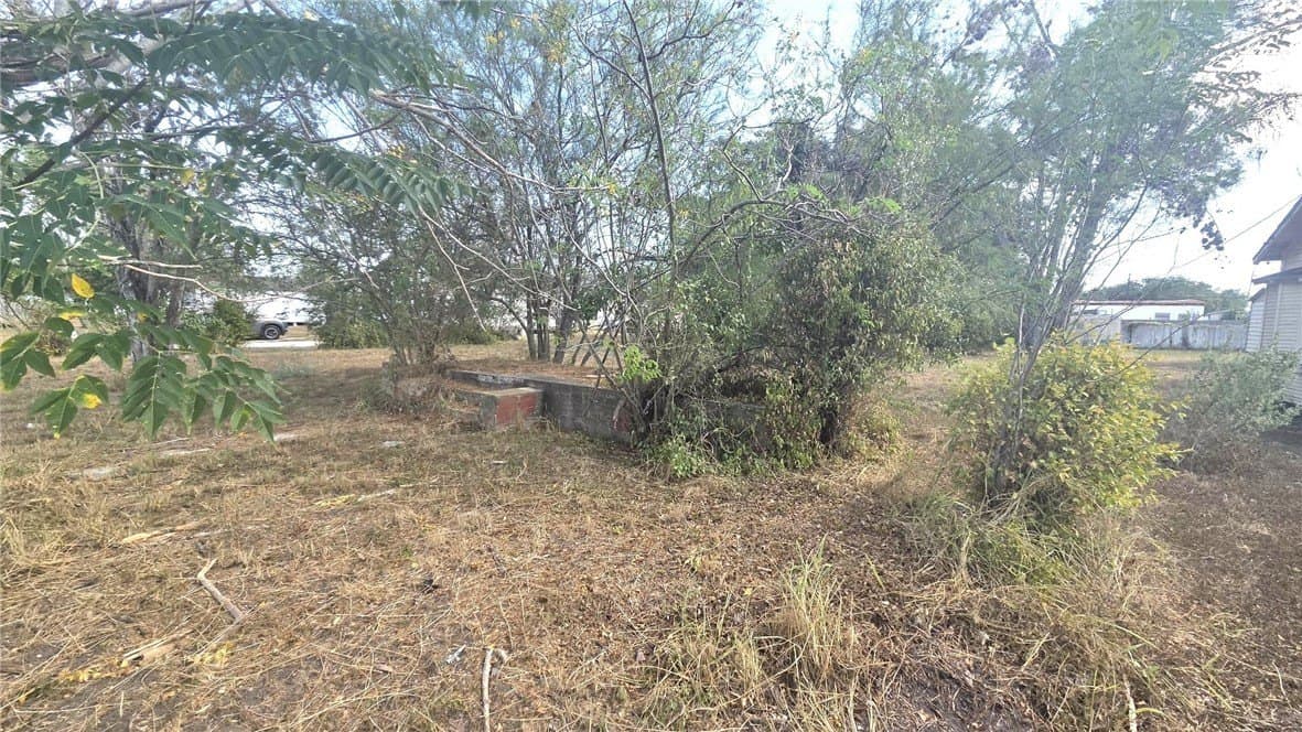 0.29 acres in Kleberg County - photo 3