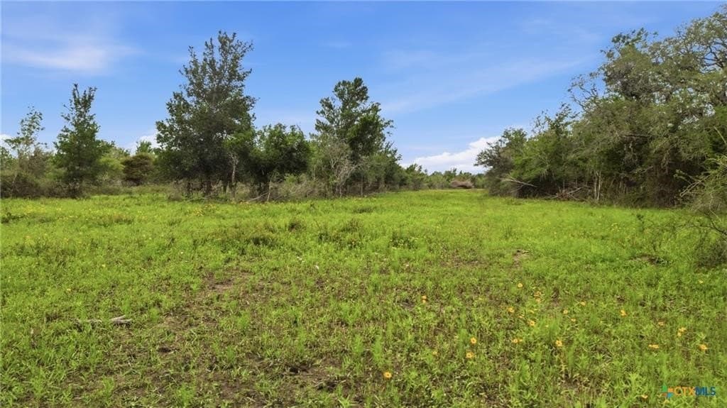 435 acres in Lavaca County - photo 13