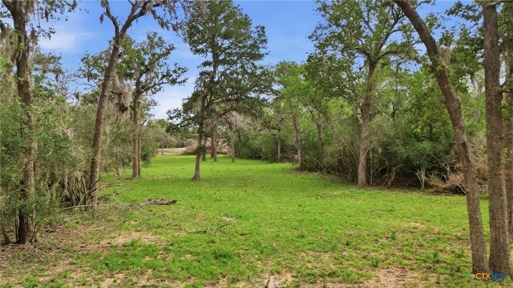 435 acres in Lavaca County - photo 5