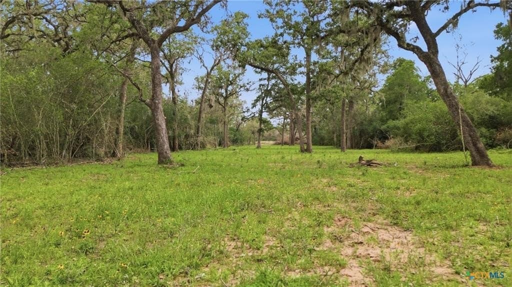 435 acres in Lavaca County - photo 4
