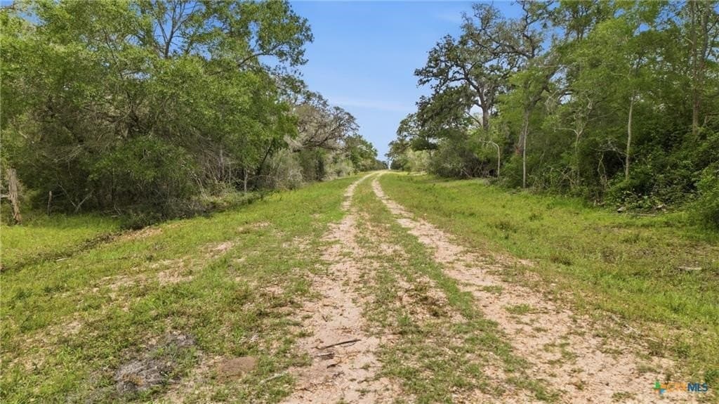 435 acres in Lavaca County - photo 31