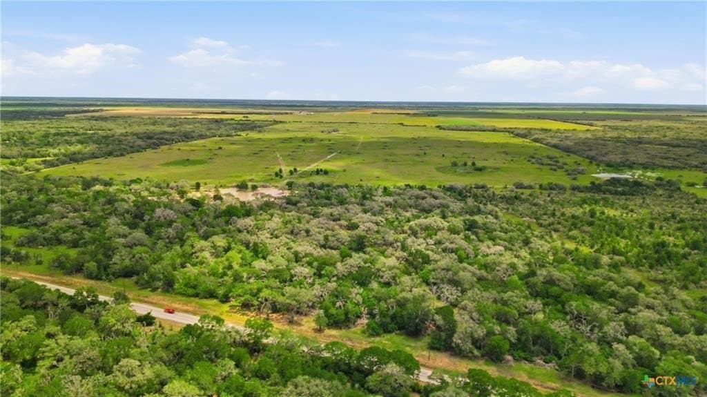 435 acres in Lavaca County - photo 16