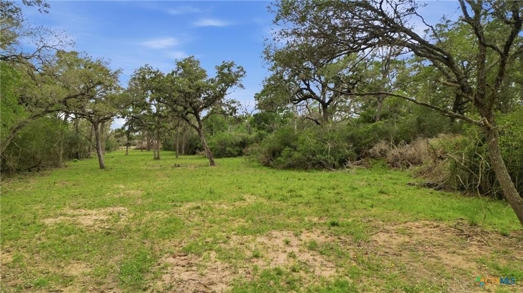 435 acres in Lavaca County - photo 3