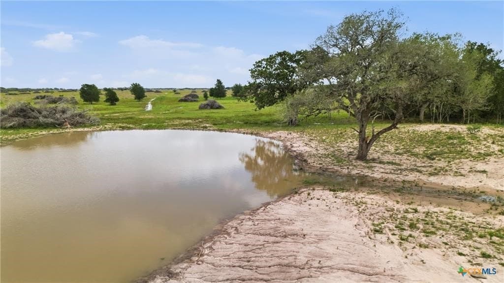 435 acres in Lavaca County - photo 8
