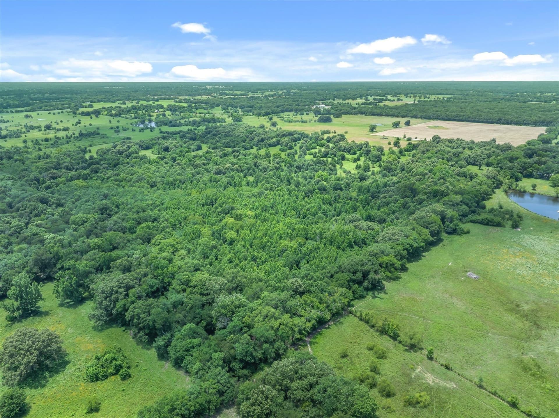 178.79 acres in Van Zandt County - photo 25