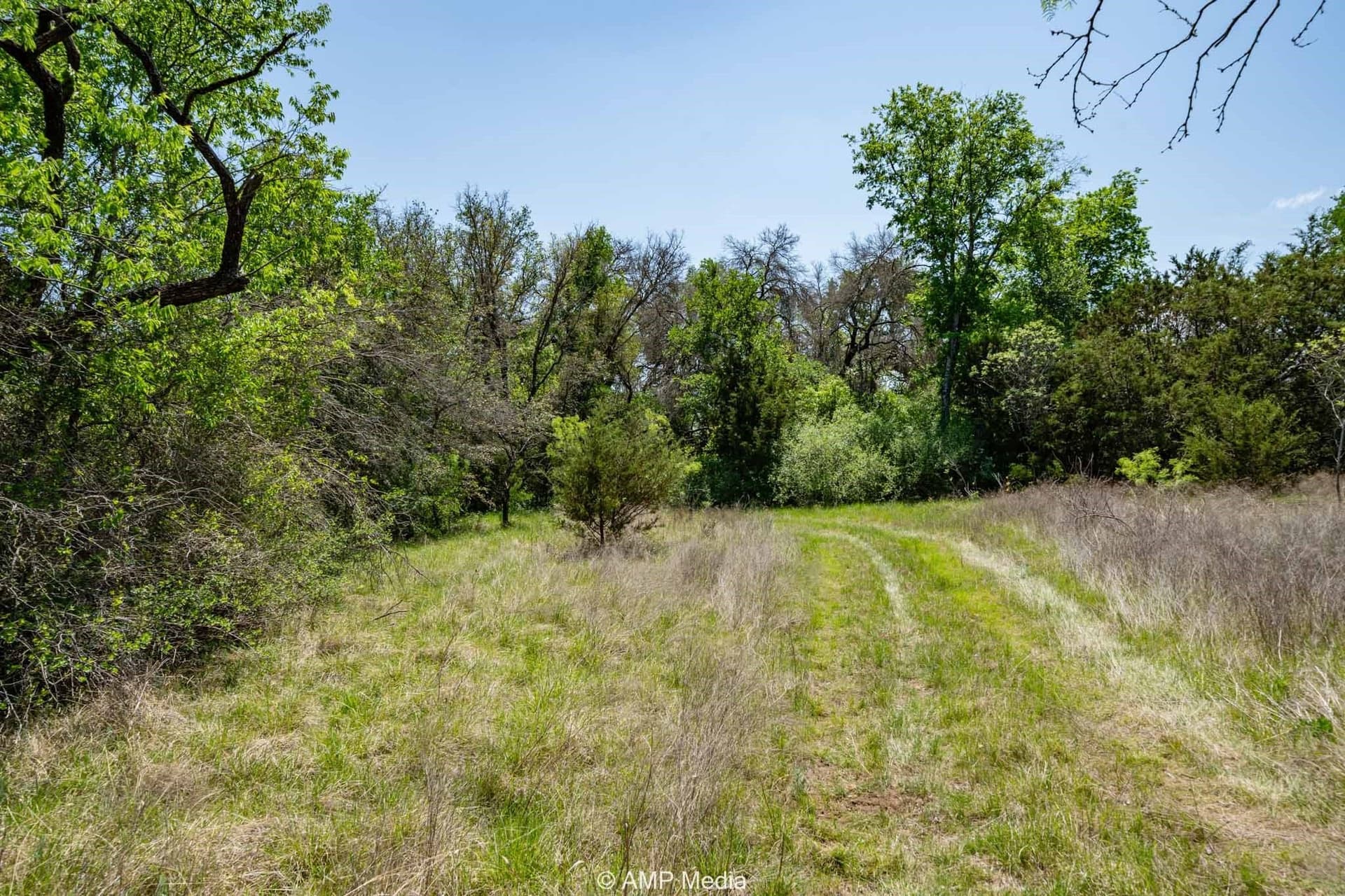 94.35 acres in Comanche County - photo 32